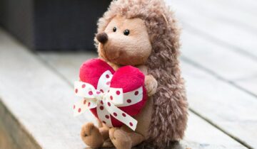 Peluches para el Día del Padre: Guía de Ventas y Rentabilidad para Tiendas