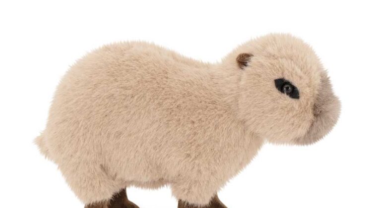Orange-Toys.es: Tu Mejor Aliado para Peluches al por Mayor en España