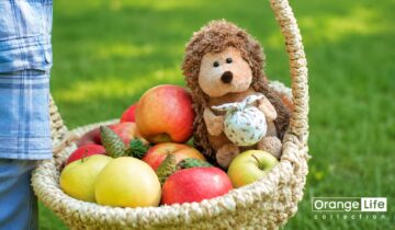 Compra de peluches al por mayor: tu mejor opción es Orange-Toys.es